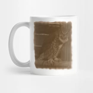 Vintage Owl Mug